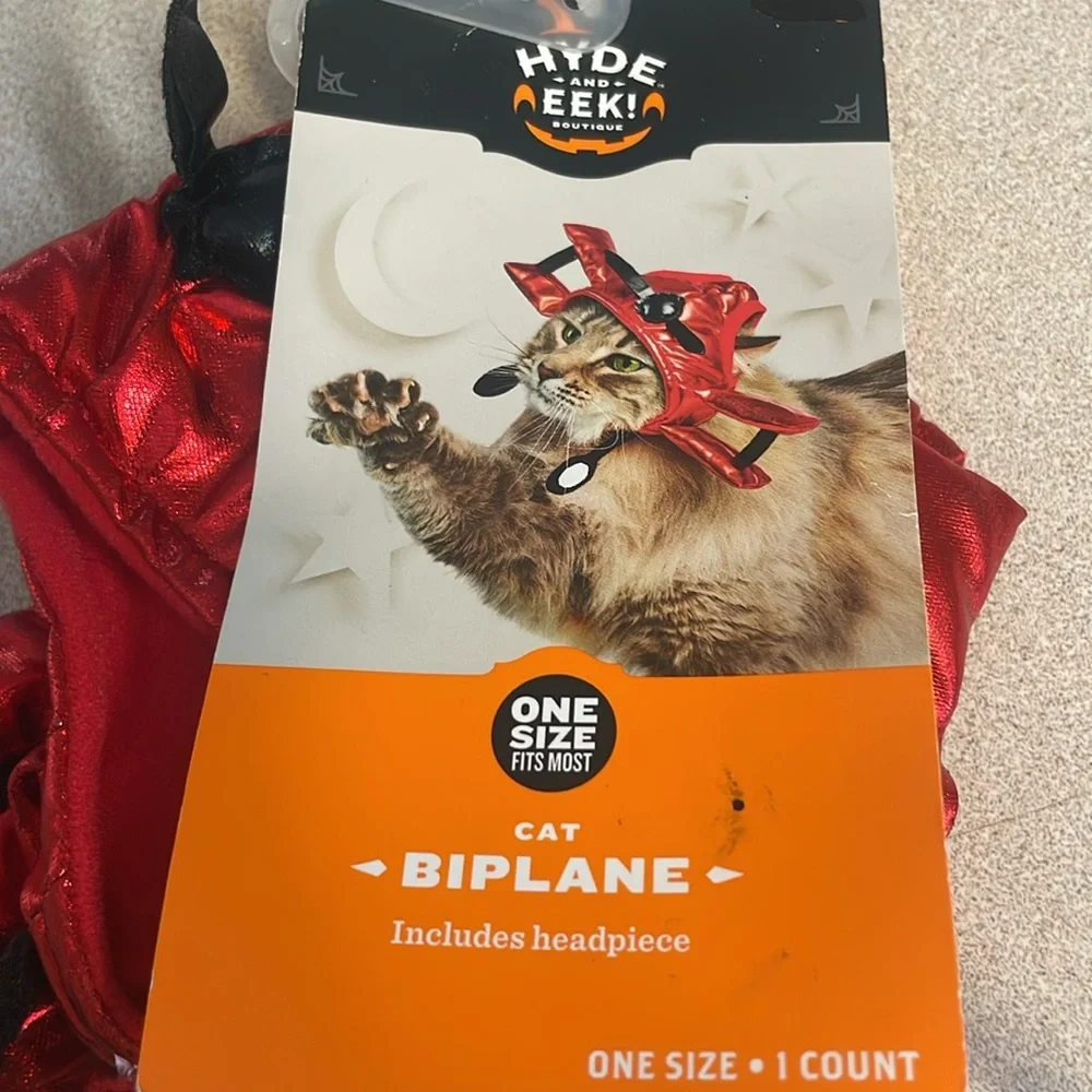 Cat hats